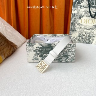 Dior-Belts