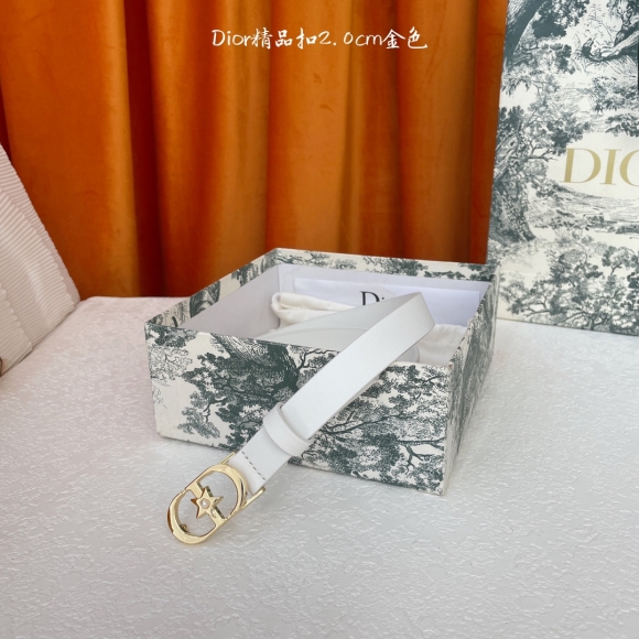 Dior-Belts