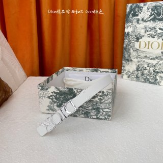 Dior-Belts