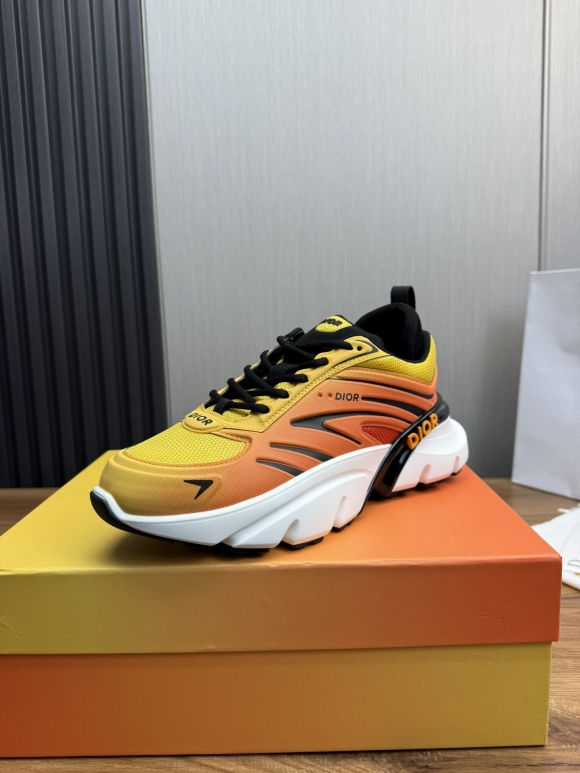 DiorSHOES